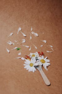 Artistic arrangement of daisies and petals on brown paper, showcasing delicate floral still life.